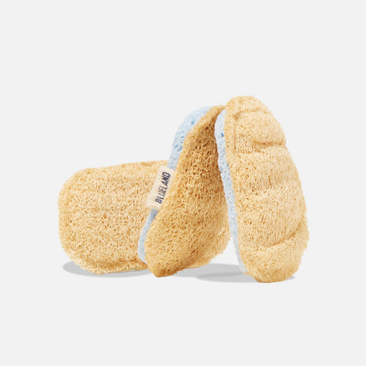 Scrub Sponge - US 2171